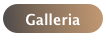 Galleria